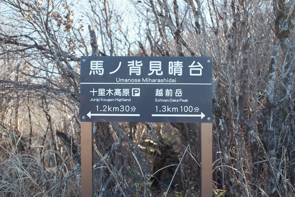 馬ノ背見晴台。