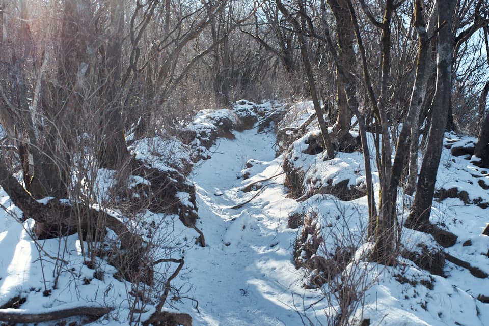 雪が積もって滑りやすくなった登山道。