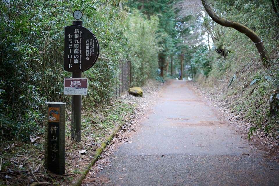 箱根九頭龍の森セラピーロード
