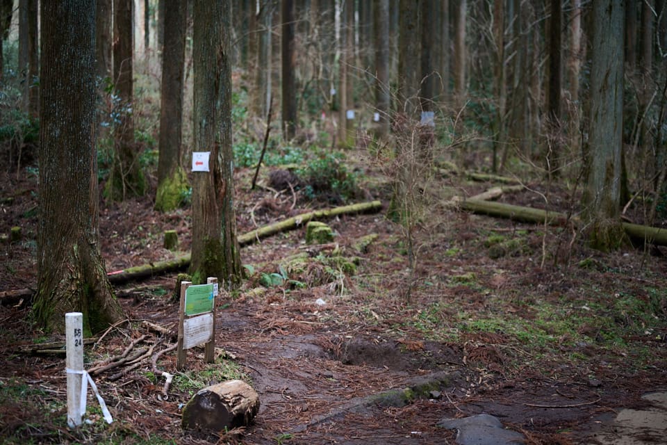 防が沢登山道起点