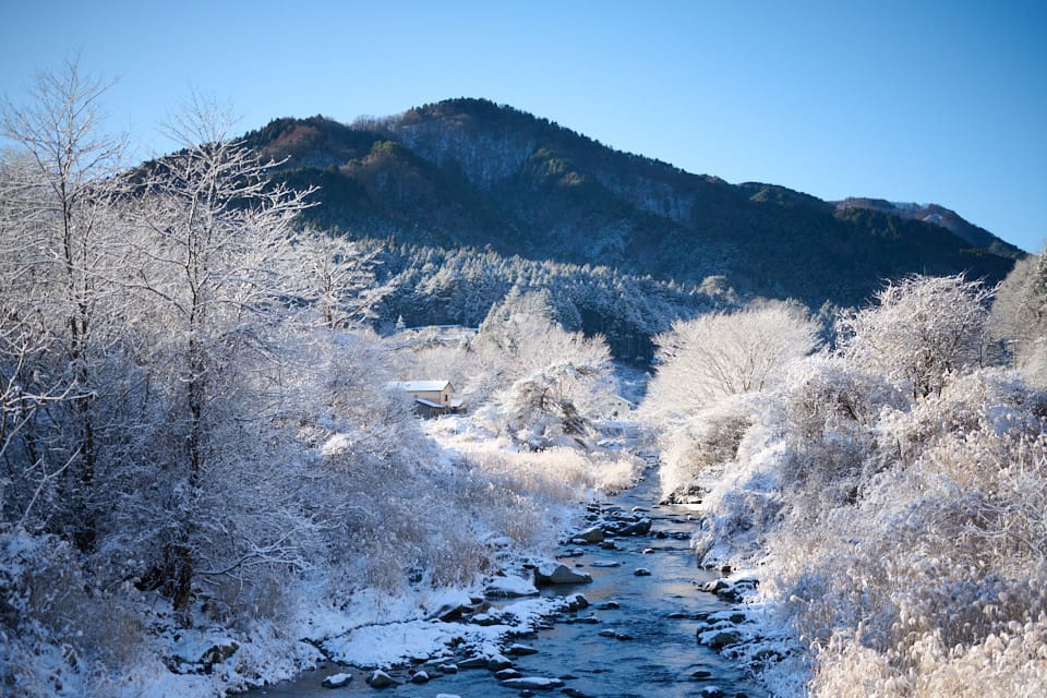 道志川からの雪景色