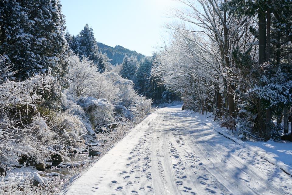 菰釣山登山道