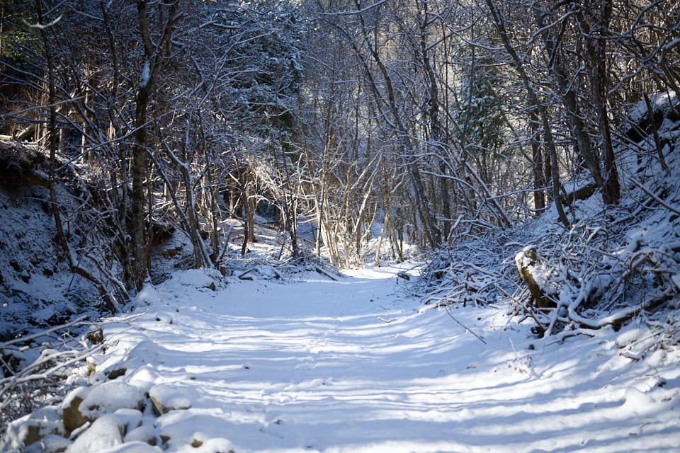 菰釣山,雪,登山道