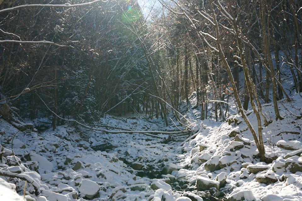 菰釣山登山道入口