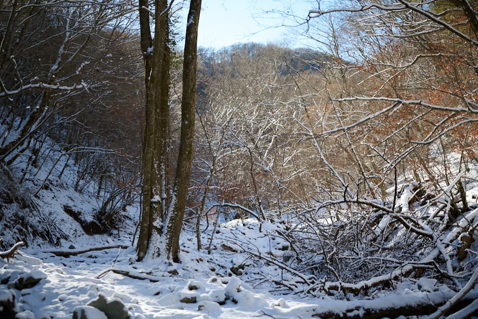 菰釣山の登山道,道迷い