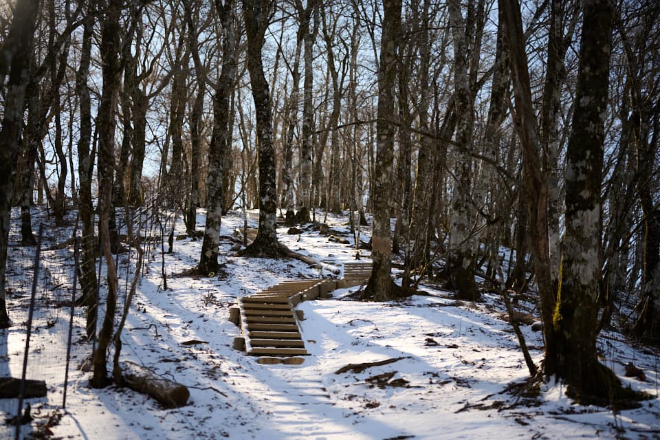 菰釣山登山道