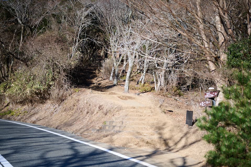 だるま山高原レストハウスからの登山道,達磨山,金冠山