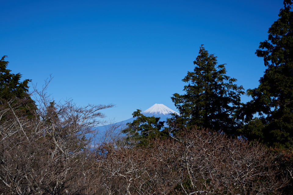 達磨山,金冠山,登山ルート,富士山