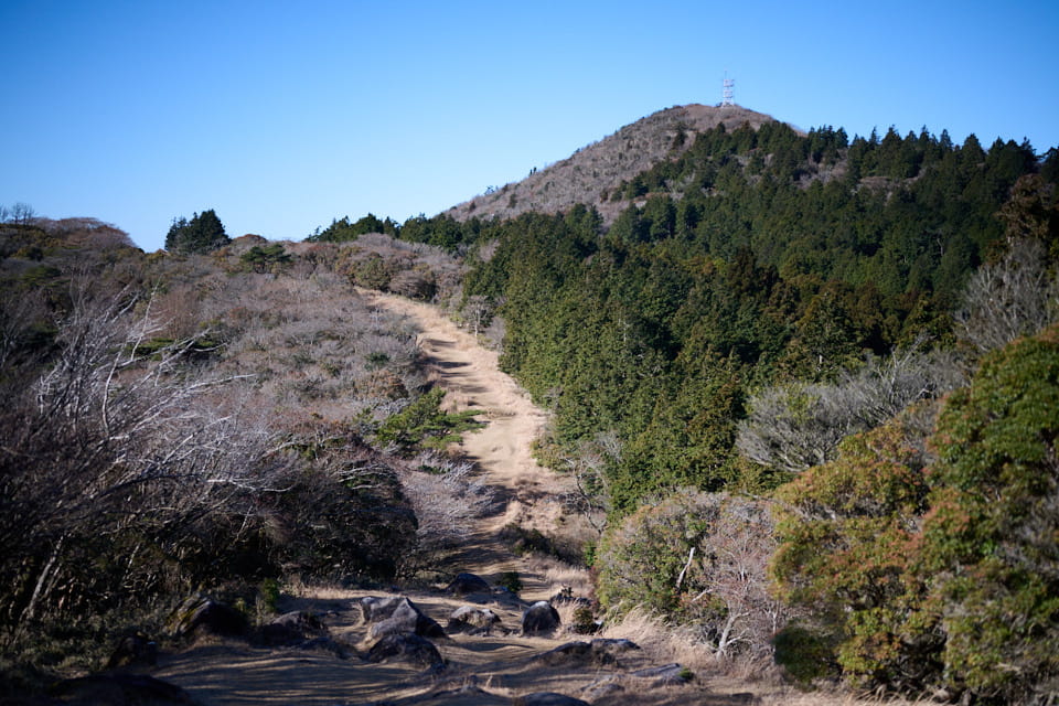 金冠山が見えた登山道