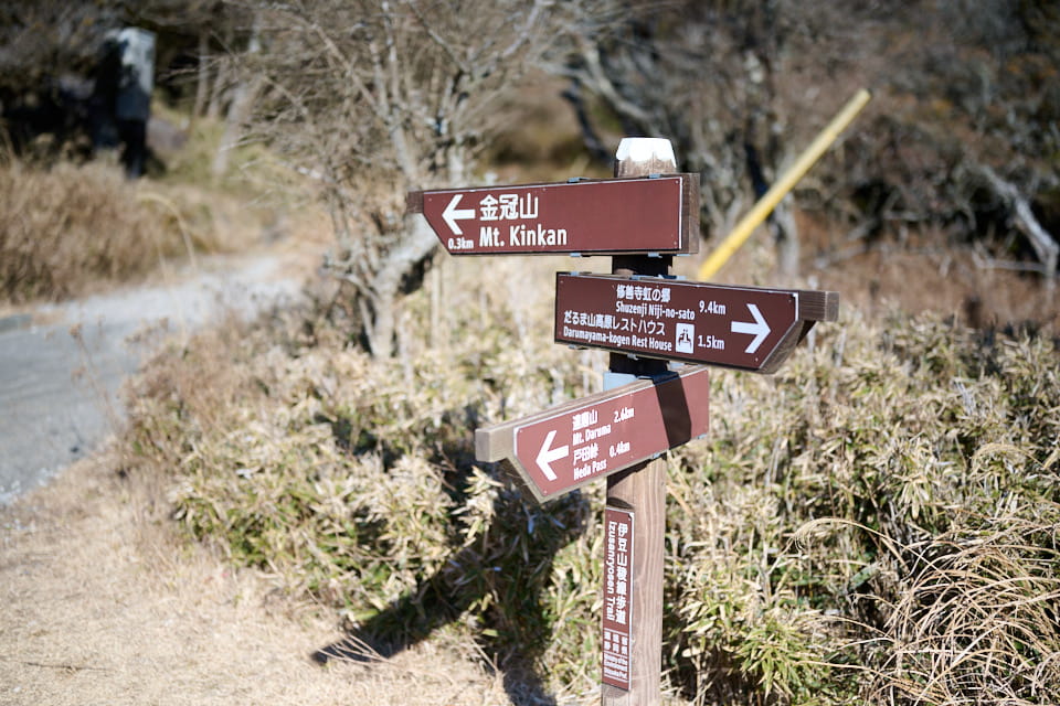 金冠山手前の分岐