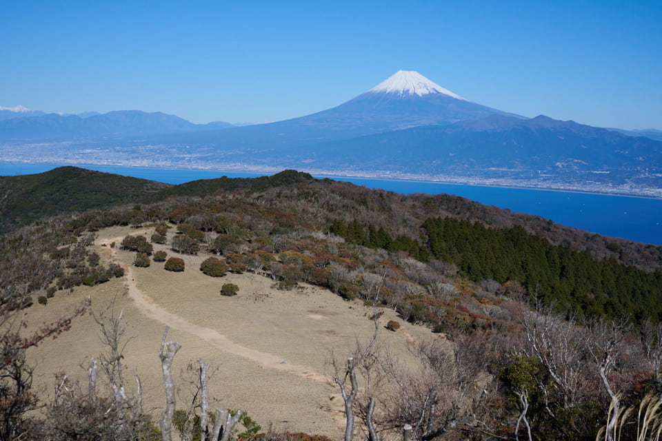 金冠山の山頂から見た富士山