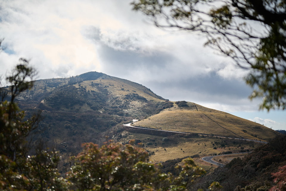 登山道から見た達磨山