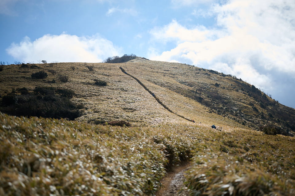 達磨山,山頂手前,