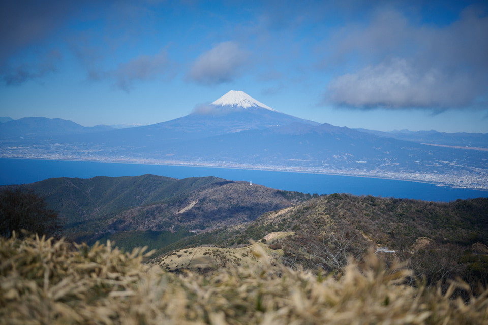 達磨山頂から富士山,駿河湾