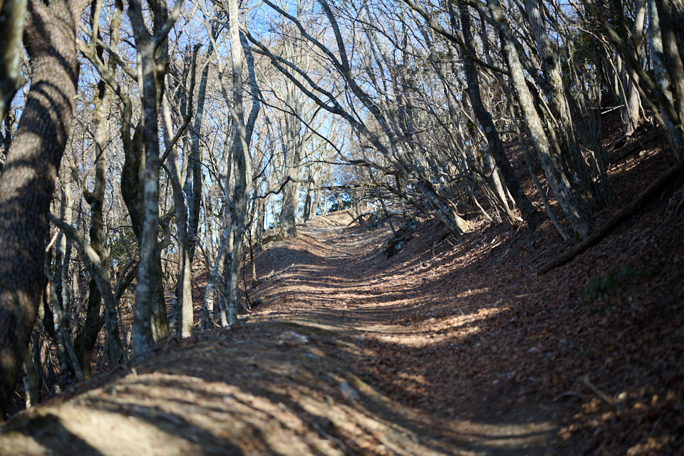 三方分山,阿難坂の手前の登山道