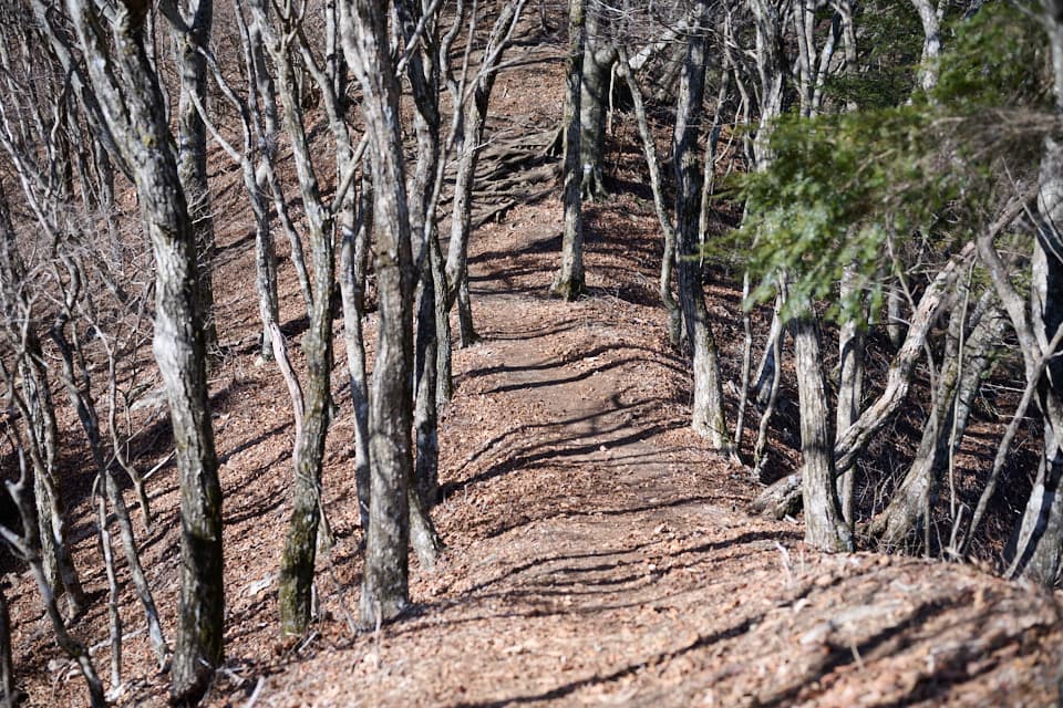 三方分山登山道