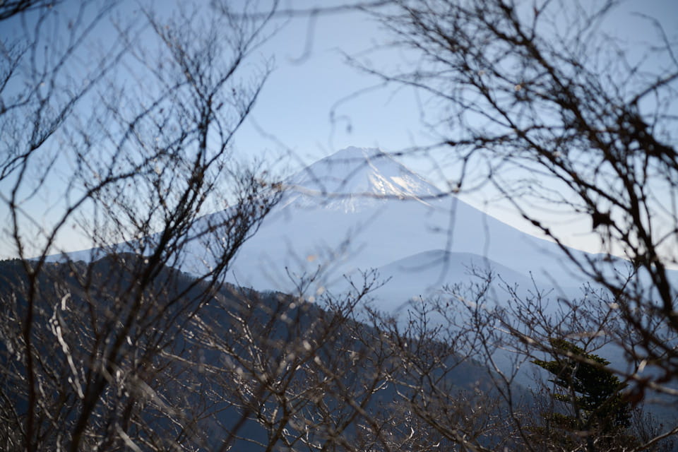 登山道の途中から見えた富士山
