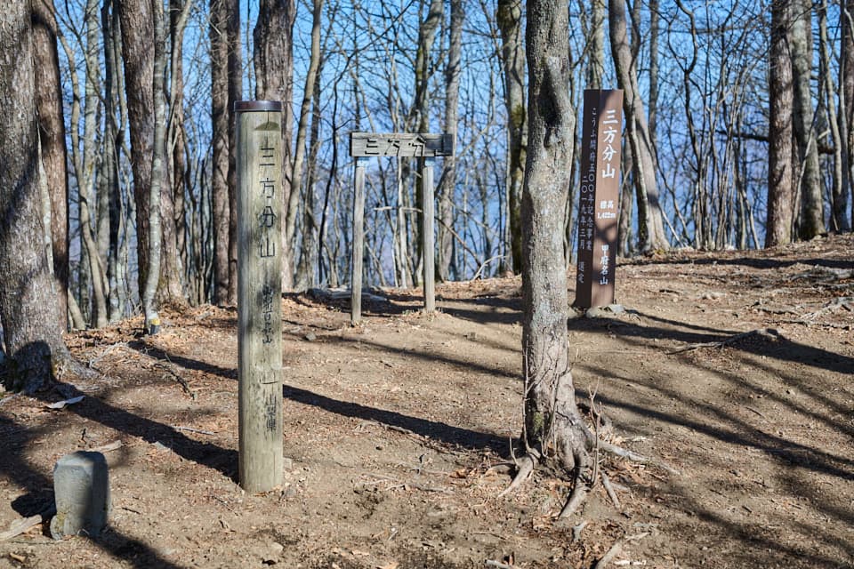 三方分山のごちゃごちゃした山頂