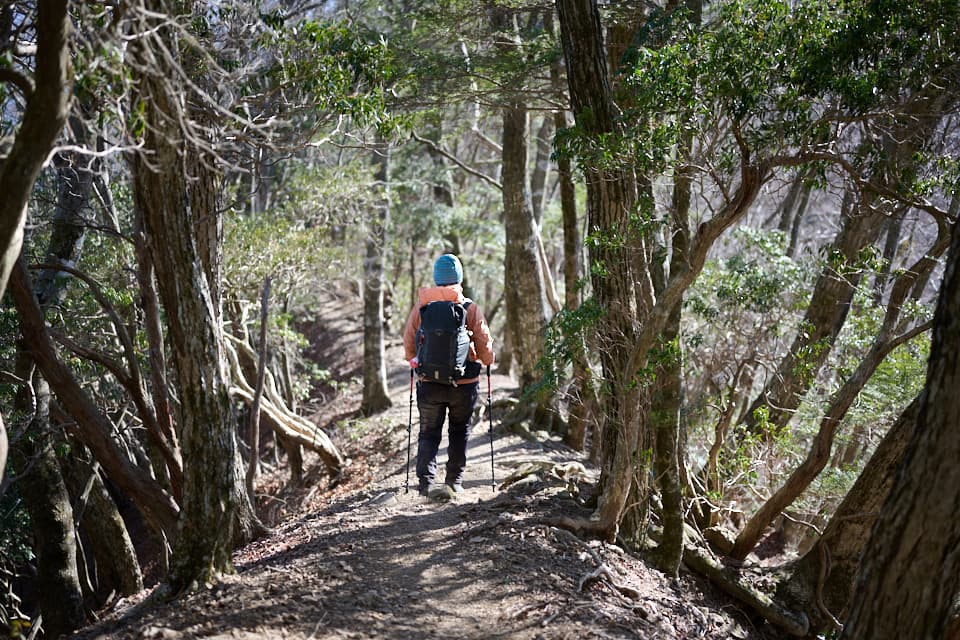 三方分山の登山道