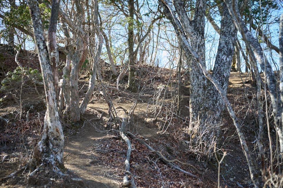 三方分山の登山道