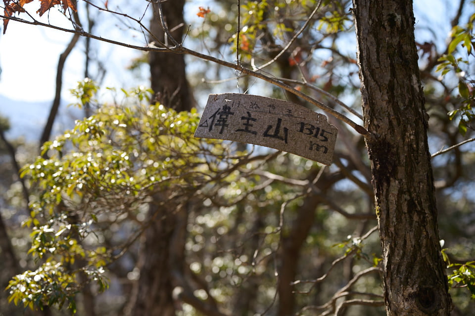 三方分山の偉主山。