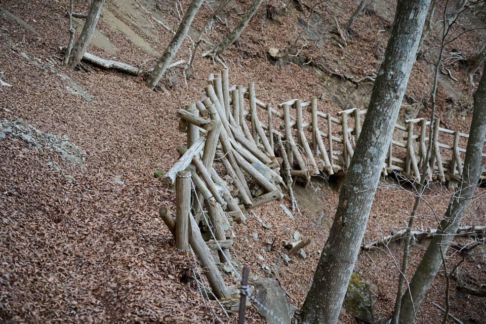 根子峠からの登山道