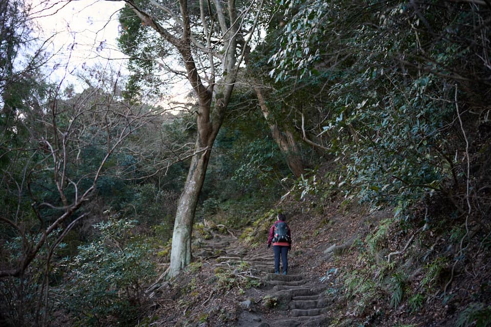 鋸山登山道