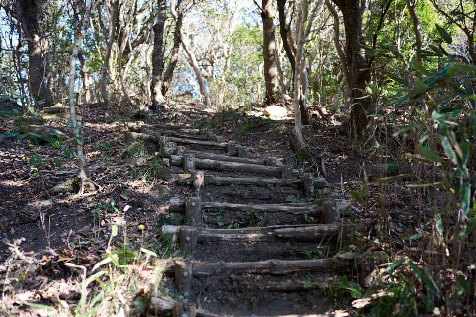 鋸山山頂へ向かう途中