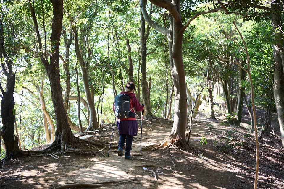 鋸山の登山道