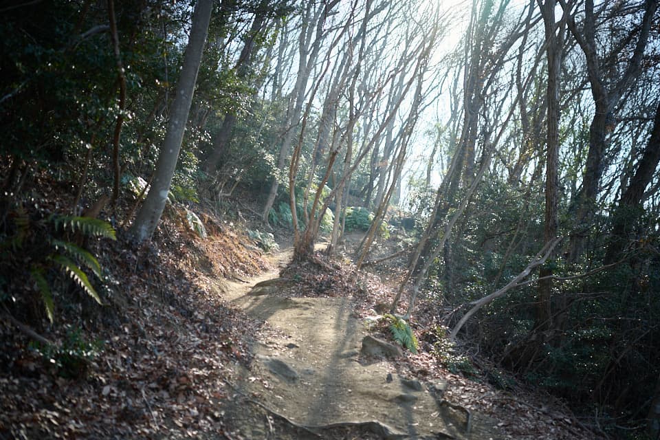 宝篋山の登山道