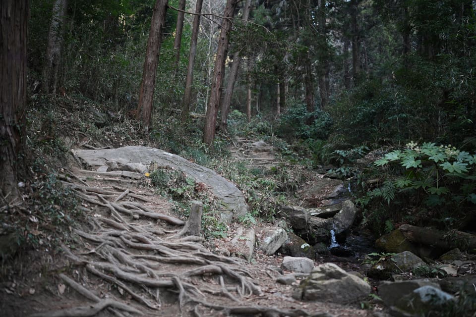 宝篋山の登山道、極楽寺コース2