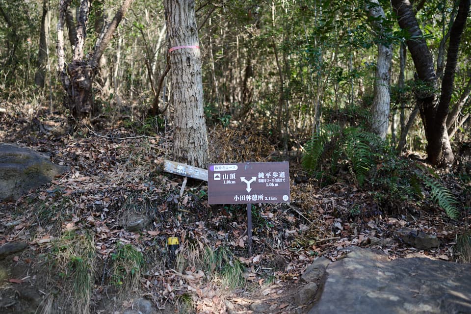 分岐にある道標