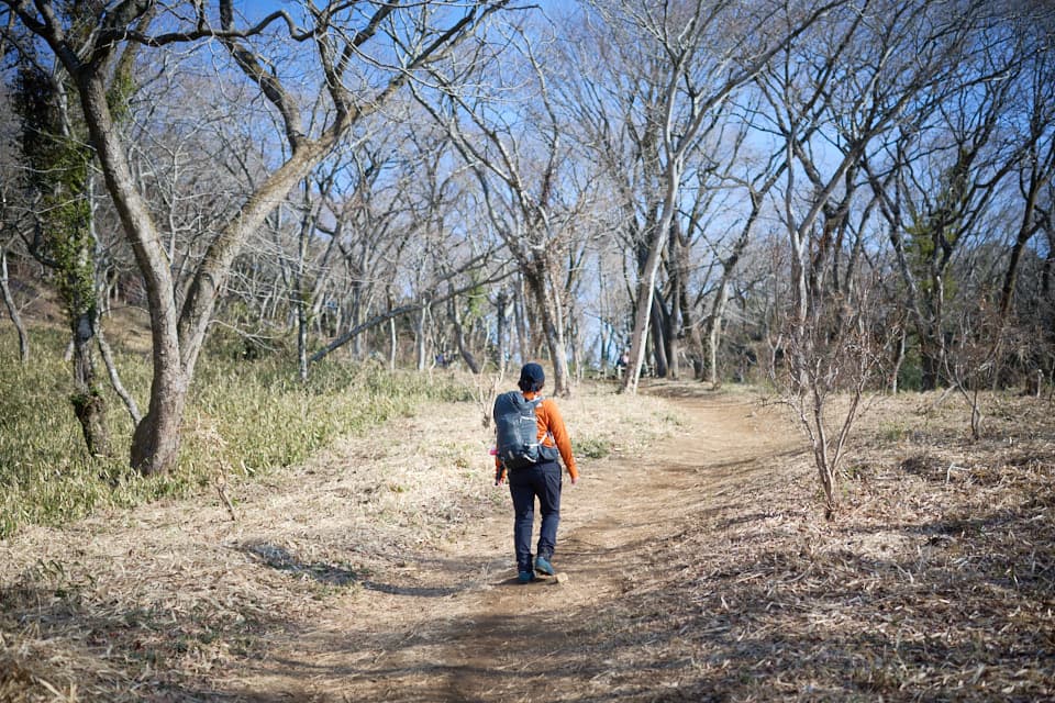 宝篋山の長閑な登山道