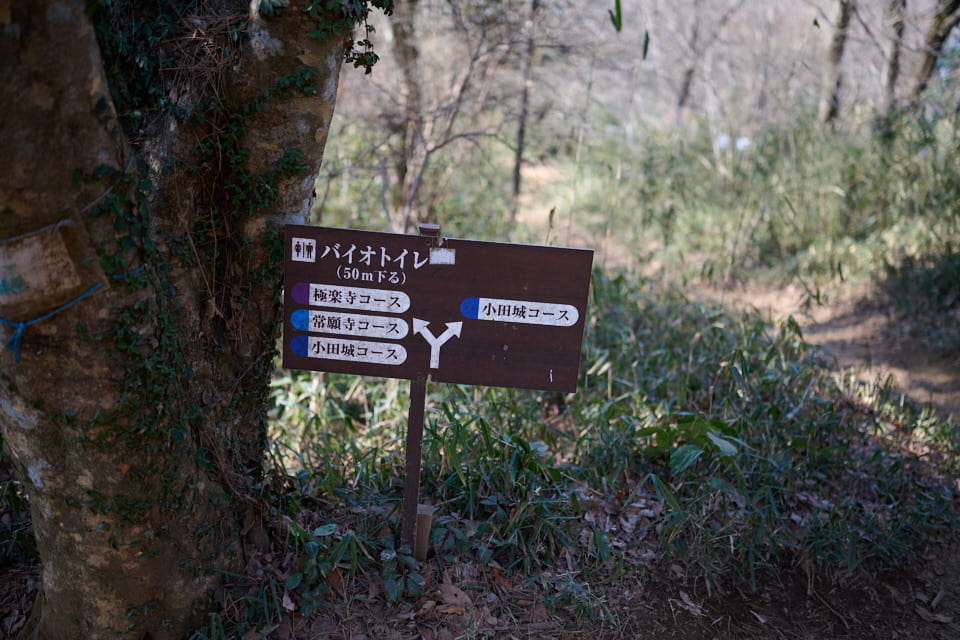 道標で下山道を確認する