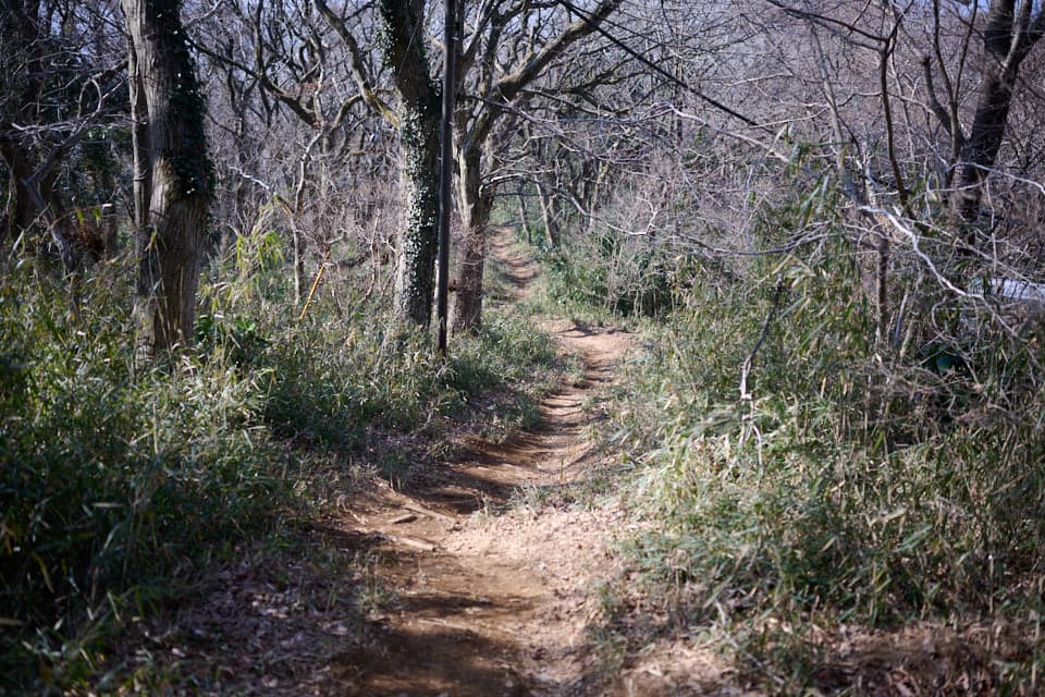 小田城コース、登山道の様子