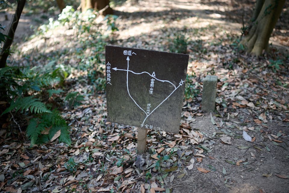 富岡山へも寄ってみる