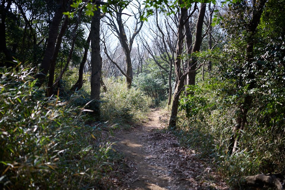 小田城コースで下山しています。
