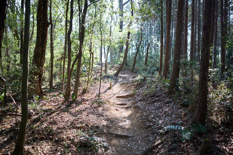 宝篋山からの下山もあと少し。