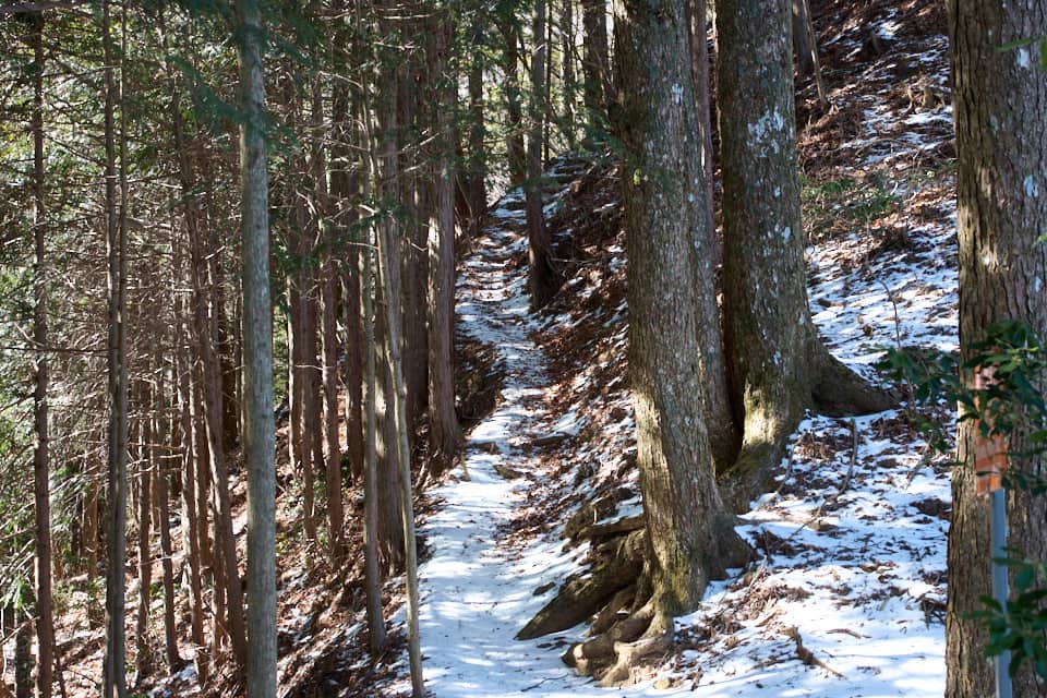 三頭山,石山の道