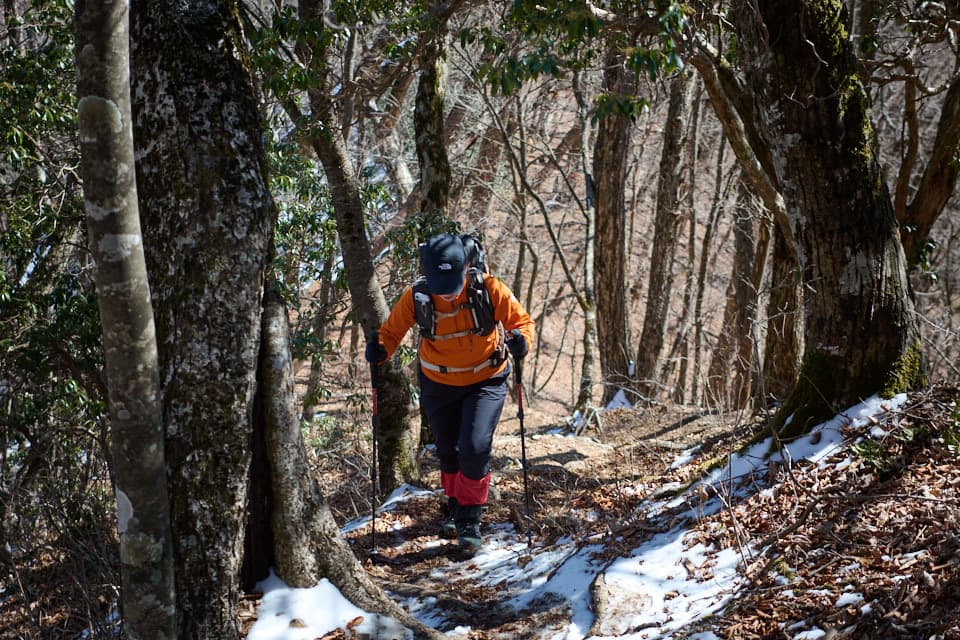 三頭山にもキツい登りはあります