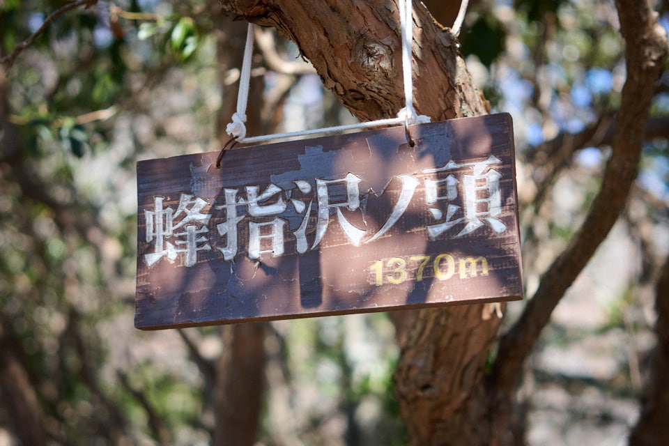 蜂指沢ノ頭