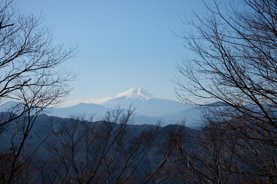 蜂指沢ノ頭から見える富士山