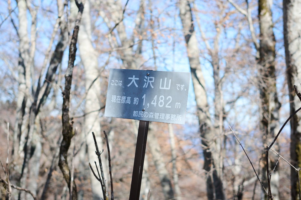 大沢山の道標