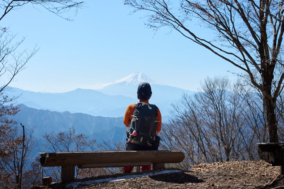 三頭山、大沢山から見える富士山