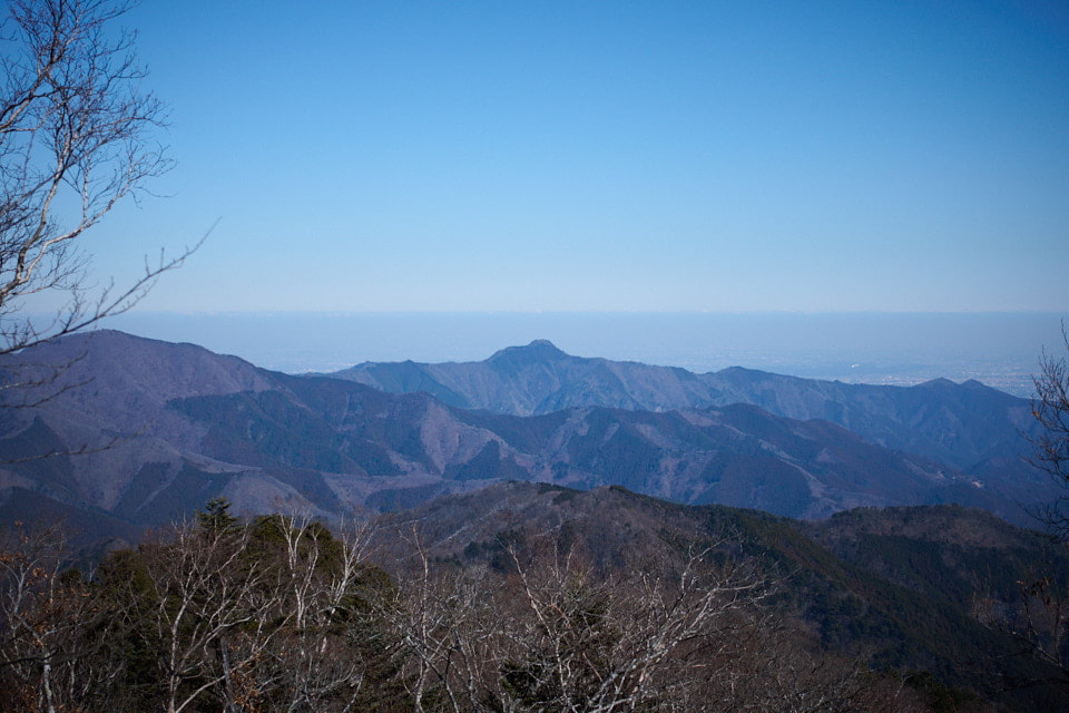 三頭山東峰から見た大岳山