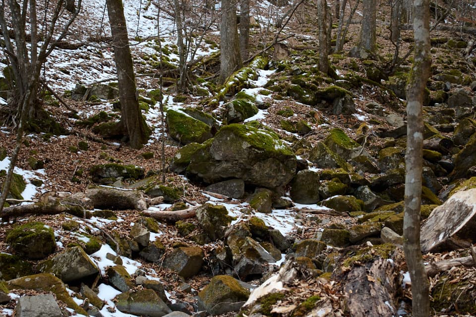 ゴロゴロと岩の転がる風景