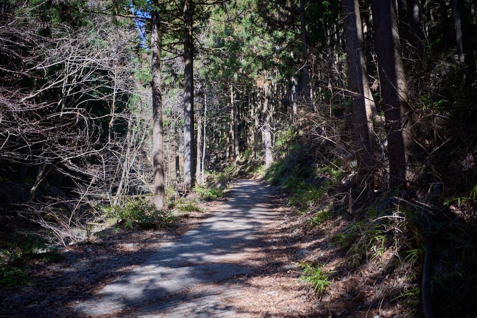 武甲山の登山道、登りはじめ