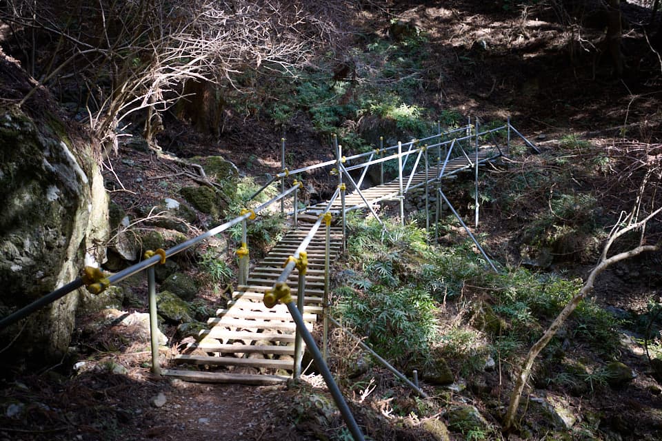 補強された木の橋