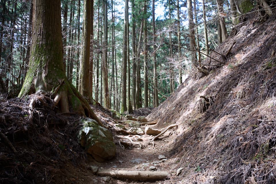 武甲山、表参道、登山道