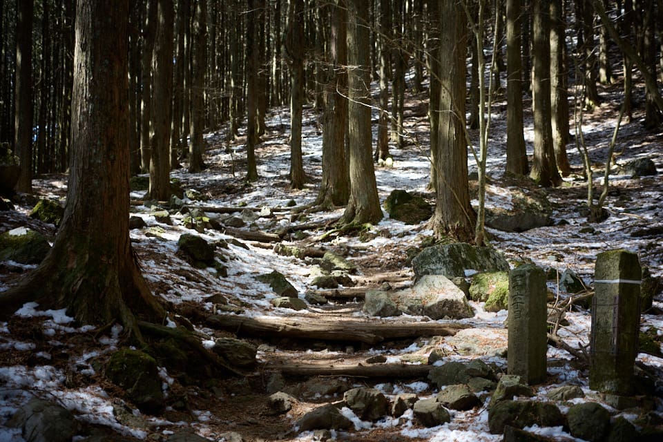 四十六丁目付近の登山道の様子